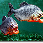 Piranha6 Profile Picture
