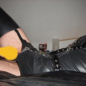 latexstute Profile Picture