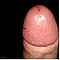 cock20x5 Profile Picture